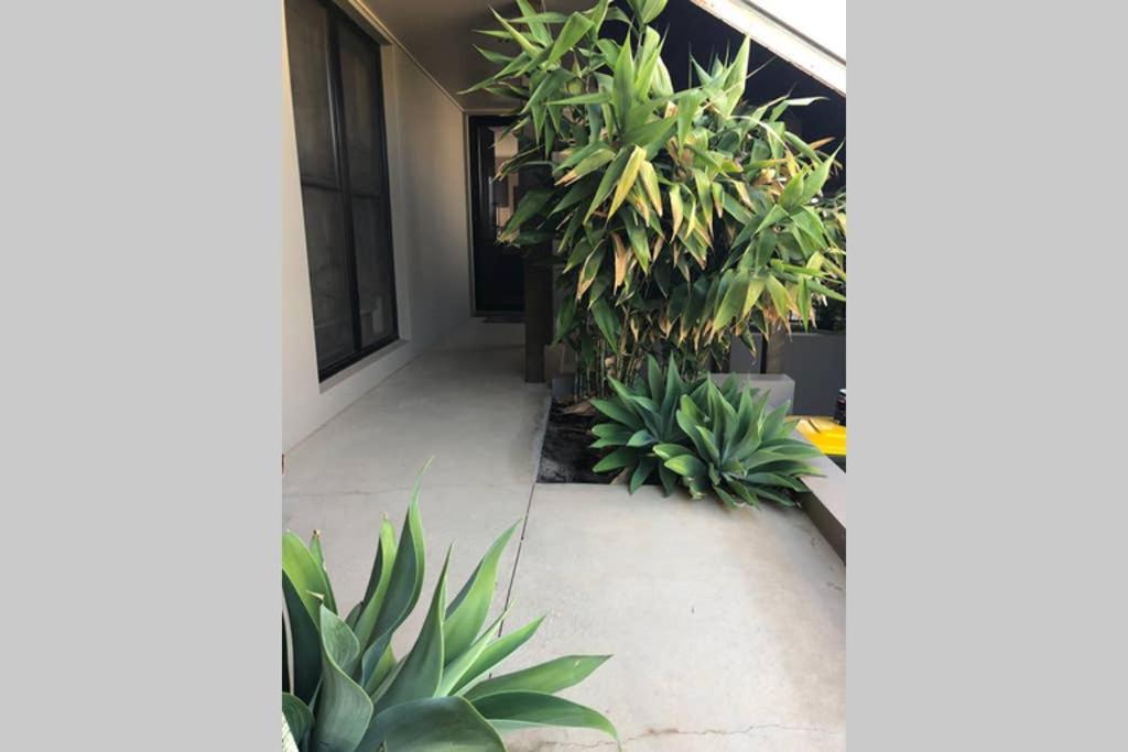 Red Lotus Retreat Apartment